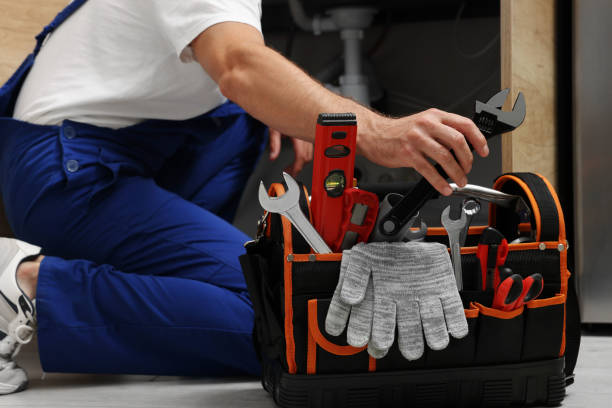 Best Clogged Drain Plumber  in Lathrop, CA